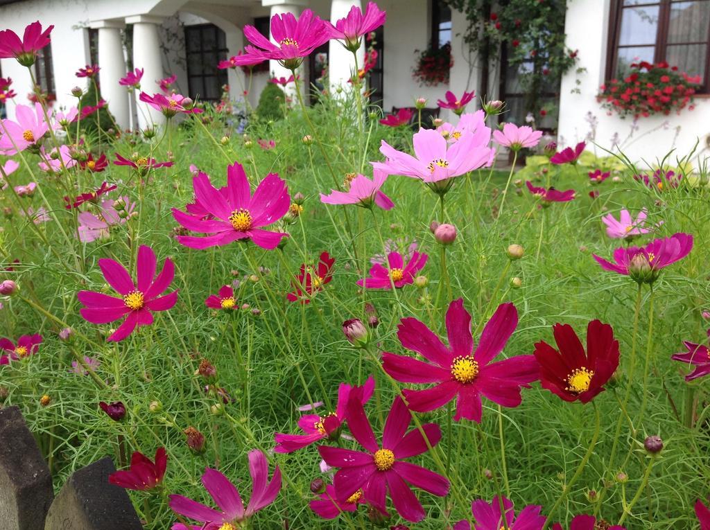 Hotel Wenus คาชิเมียร์ซ ดอลนี ภายนอก รูปภาพ
